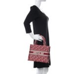 CHRISTIAN DIOR Oblique Small Book Tote Burgundy Multicolor - Image 4