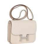 Hermès Constance 18 Nata Ostrich Palladium Hardware - Image 2