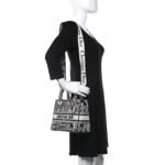 CHRISTIAN DIOR Toile de Jouy Embroidered Medium Lady D-Lite Blue - Image 4