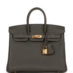 Hermès Birkin 25 Vert de Gris Togo Gold Hardware