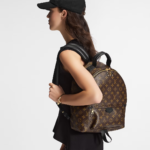 Louis Vuitton M44874 Palm Springs MM - Image 3