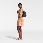 Louis Vuitton M47072 Backup - Image 4
