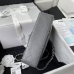 Chanel Small Classic Handbag Silver Hardware - Image 5