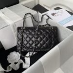 Chanel Small Classic Handbag Silver Hardware - Image 2