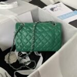 Chanel Small Classic Handbag Silver Hardware - Image 2