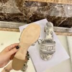 Christian Dior Dway Mules in Embroidered CottonSpring /Summer Collection Grey - Premium Quality Streetwear Sneaker - Image 7