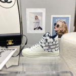 Dior 2022 early spring new Walkn lace-up shoes - Premium Quality Streetwear Sneaker - Image 3